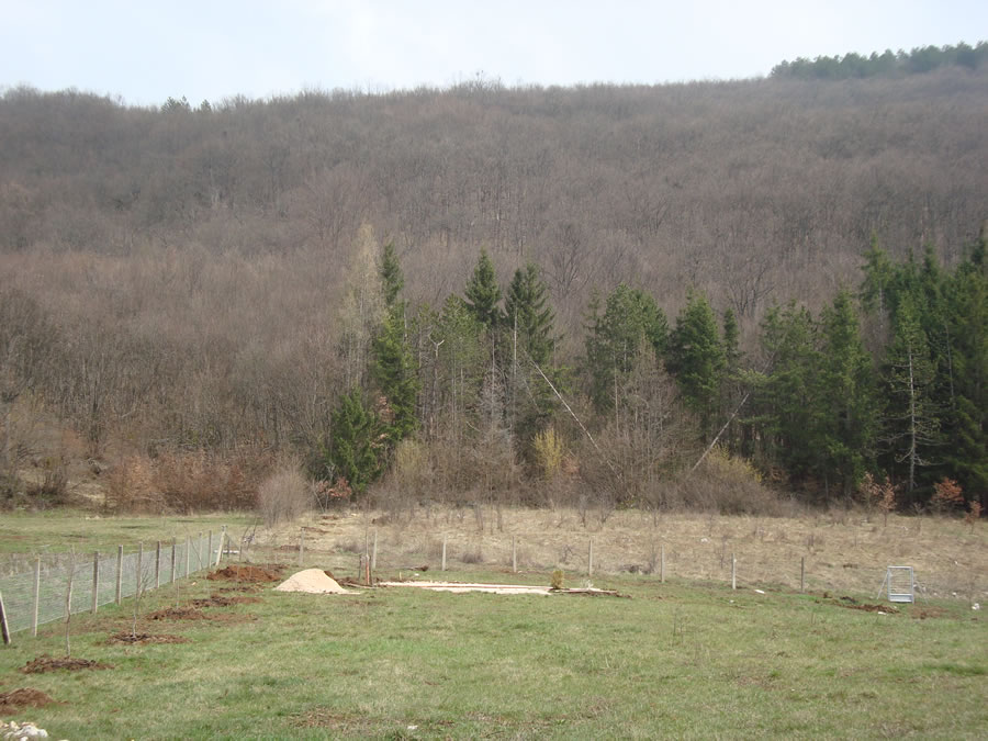 Snjezana-Naprta-Oblikuje-Prostor-Arhitektura-Kontejner-Gacka-02