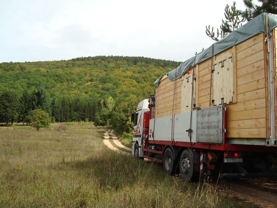 Snjezana-Naprta-Oblikuje-Prostor-Arhitektura-Kontejner-Gacka-13