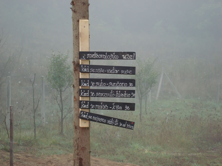 Snjezana-Naprta-Oblikuje-Prostor-Arhitektura-Kontejner-Gacka-24